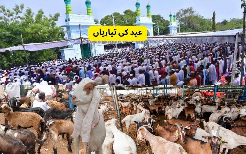 حیدرآباد میں عید الالضحی کی تیاریاں، مویشی مارکٹ میں ہجوم 